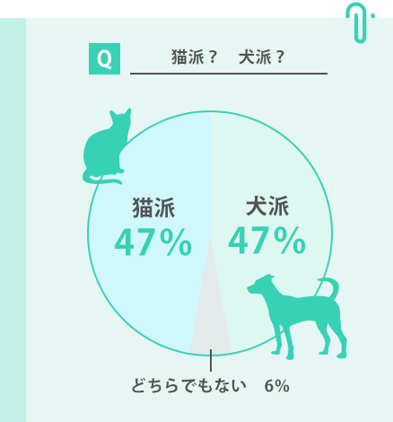 猫派？犬派？